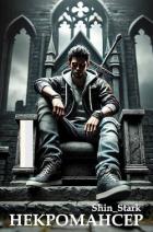 Вы призвали… некроманта! Том 1 (СИ) - "Shin_Stark"